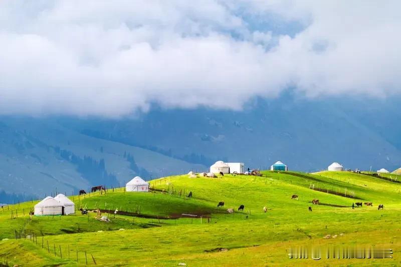 山川河流有我脚步
人间烟火有我守护
我在高山雪原
我在边疆村寨
我在海岛舰船
我