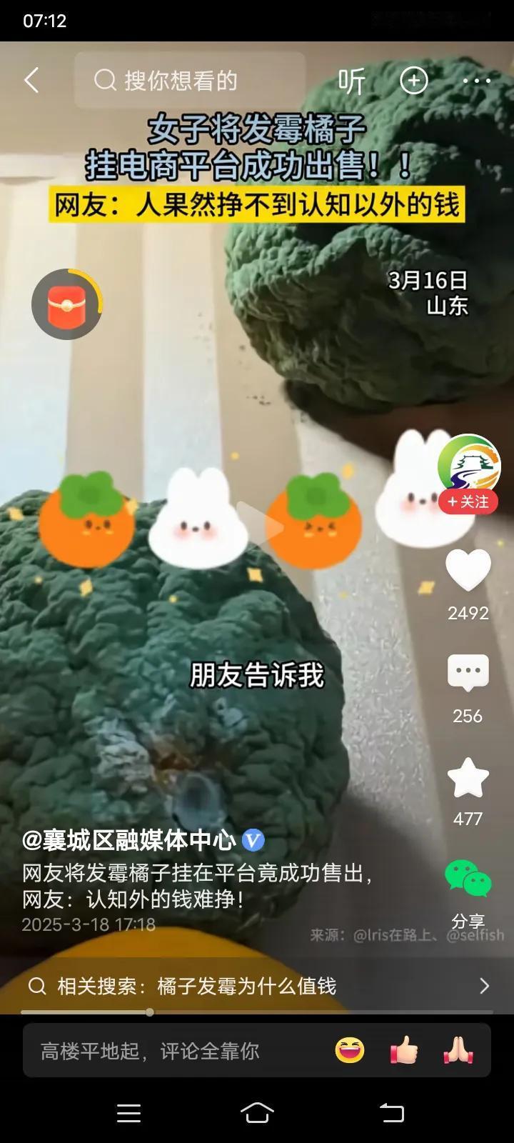 大千世界，无奇不有，前几天看头条，有网友把桔子放的起了绿霉菌！他好奇心大发，把霉