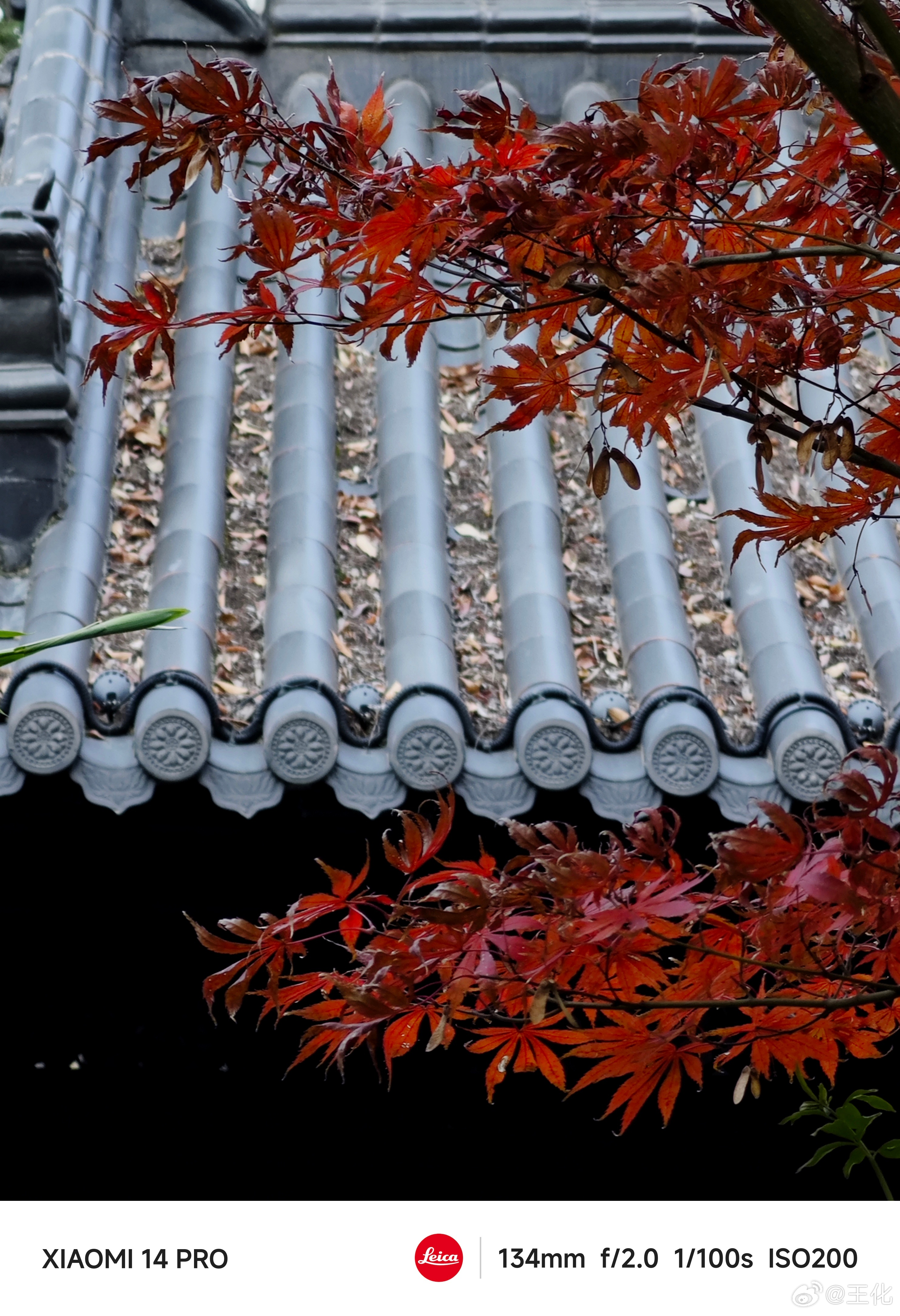 #每天早起打卡#早上好，今天很忙，可能没空回复[作揖] ​​​