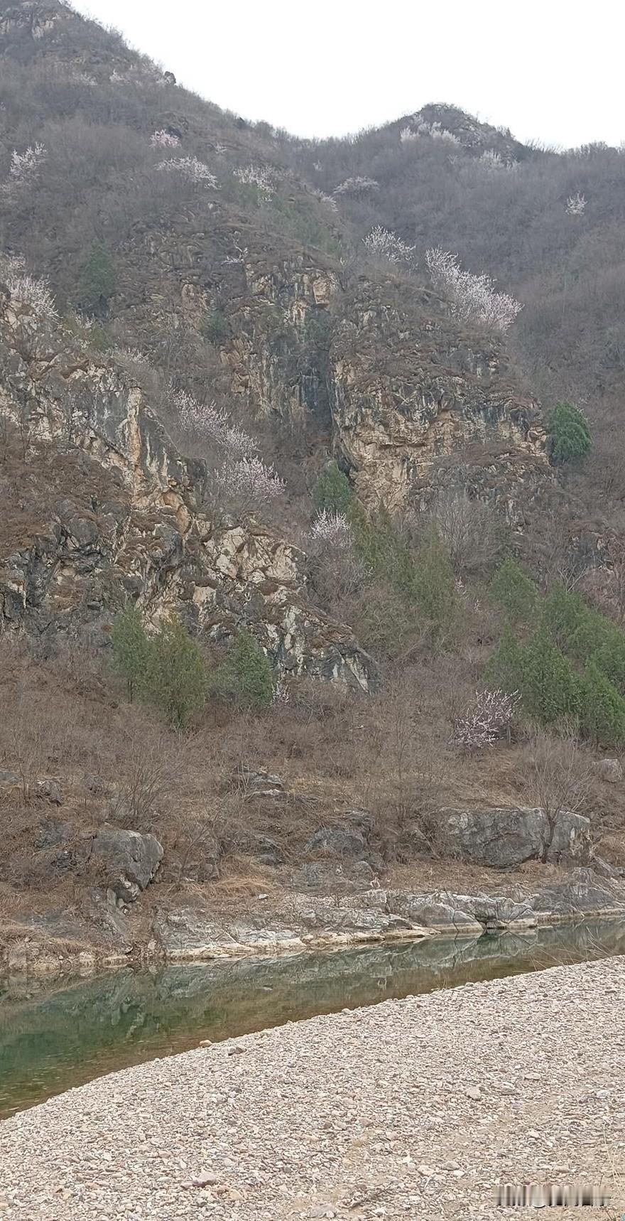 北方的春天，在于它的变化剧烈，反复无常的性格。这种喜怒无常的秉性如同精神病，任谁