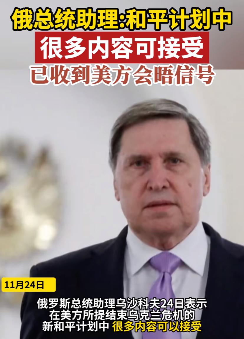 利好消息，针对美方提的方案，俄总统助理放出话来，很多内容可接受。看来大部分条款双