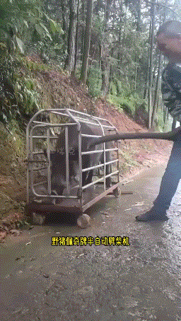 没想到还有这功能