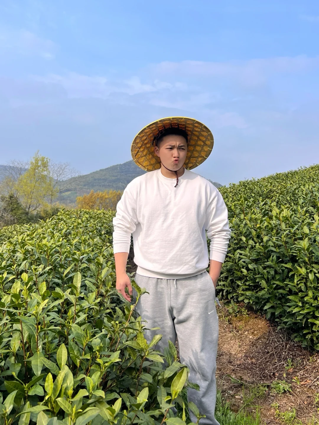 第一次采茶🍵