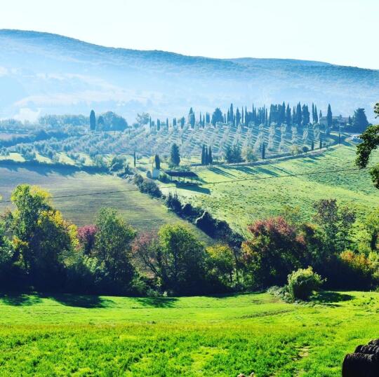 🌿 有光的托斯卡纳，更柔软了