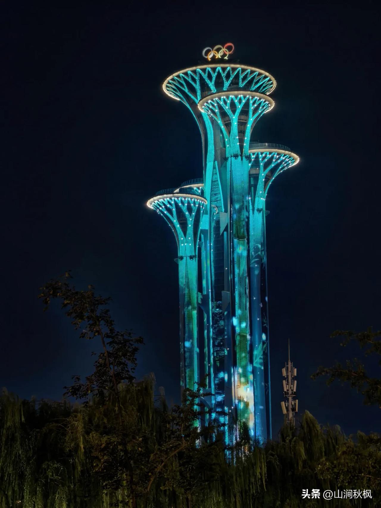奥森夜景