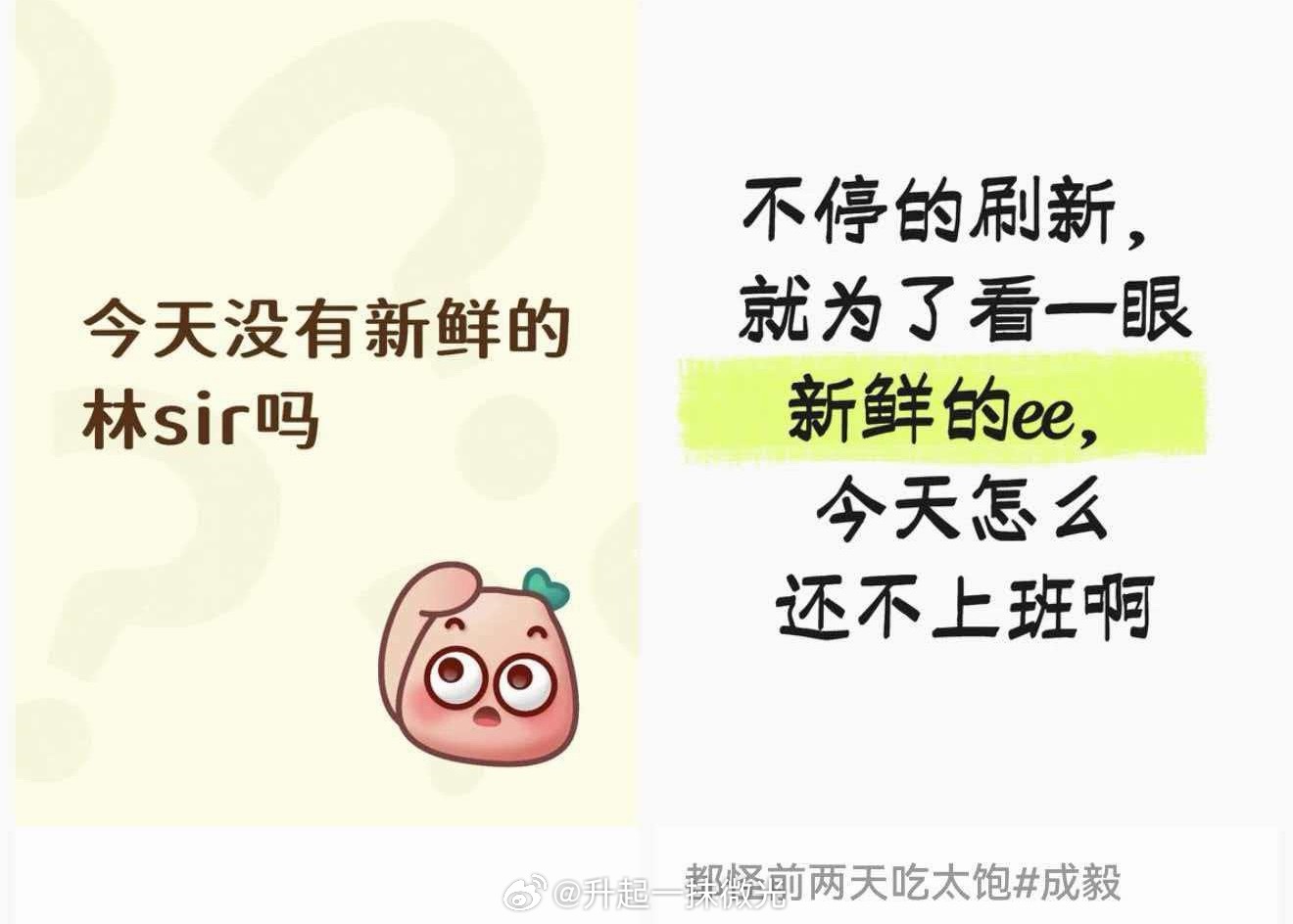 全网都在找廷廷，IE真的太粘人了