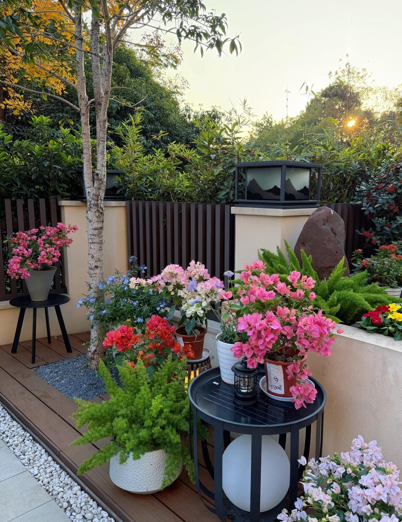 婆婆不待见儿媳,老了你会养她吗?
会养，需要有一个前提：和老公感情很好。

从道