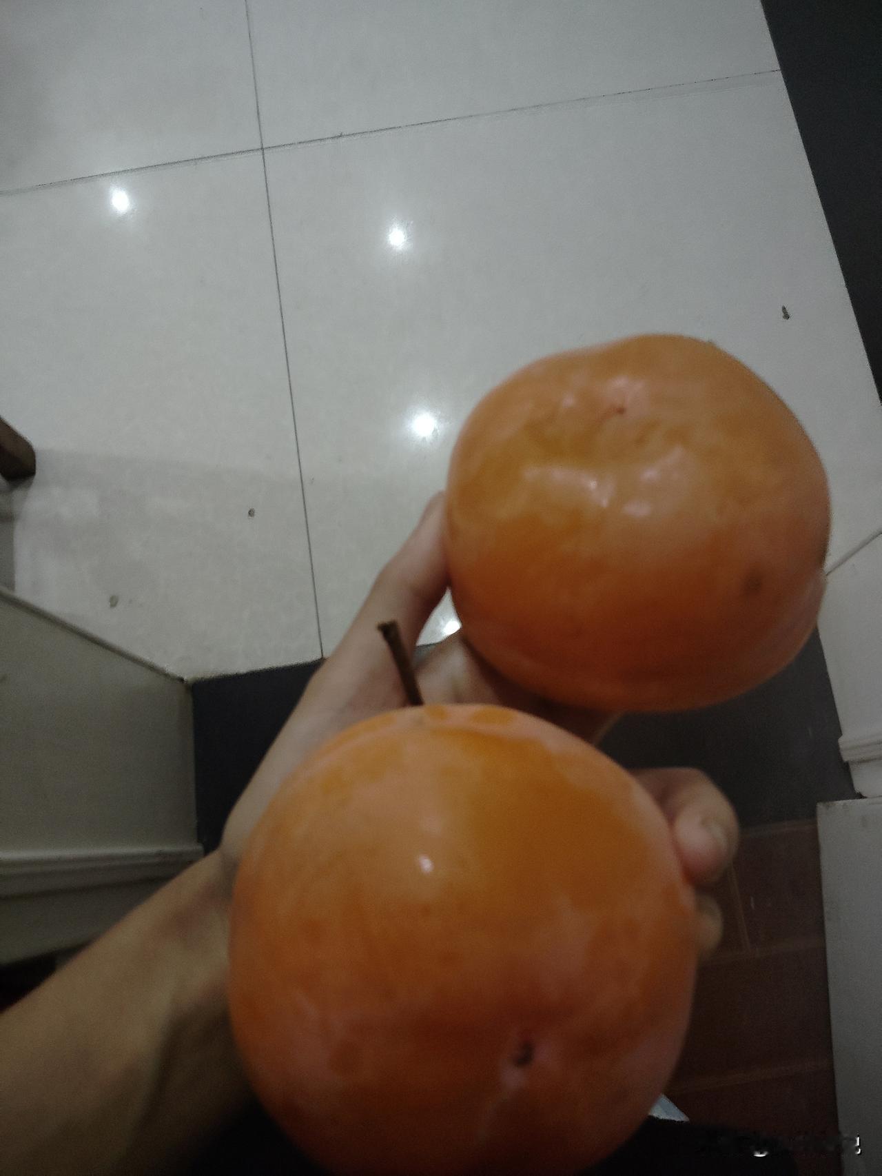 柿子年年结，我却年年吃不到嘴，今年我干脆把柿子树砍掉，我吃不到谁都别想吃！

今