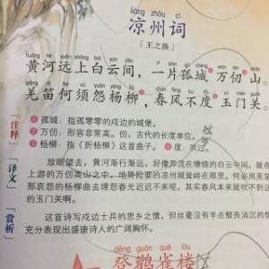 《凉州词》：盛唐绝唱中的边塞苍凉与思乡之情
王之涣的《凉州词》以其简洁而深远的意