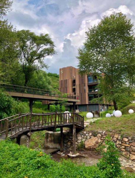 醍醐灌顶的一段话：

“很多人可能不知道，

家里天天有人变着花样做饭、

掐着