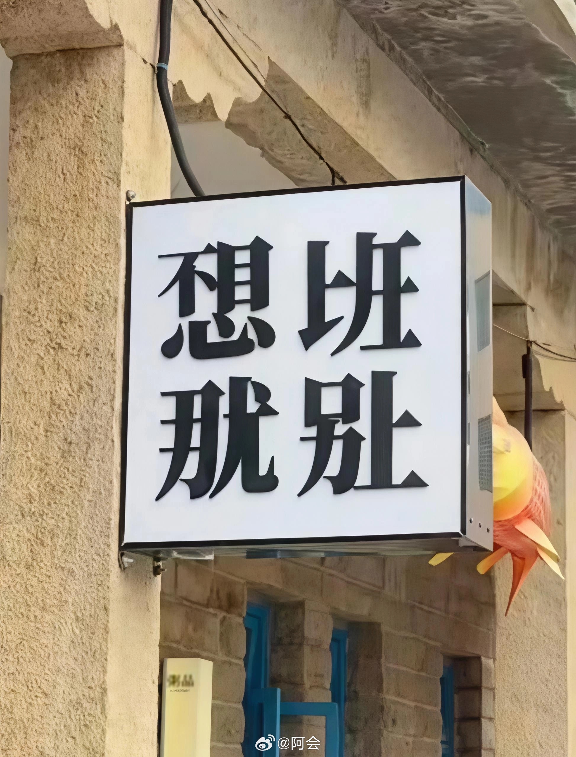 一个字都不认识，但我居然看懂了 