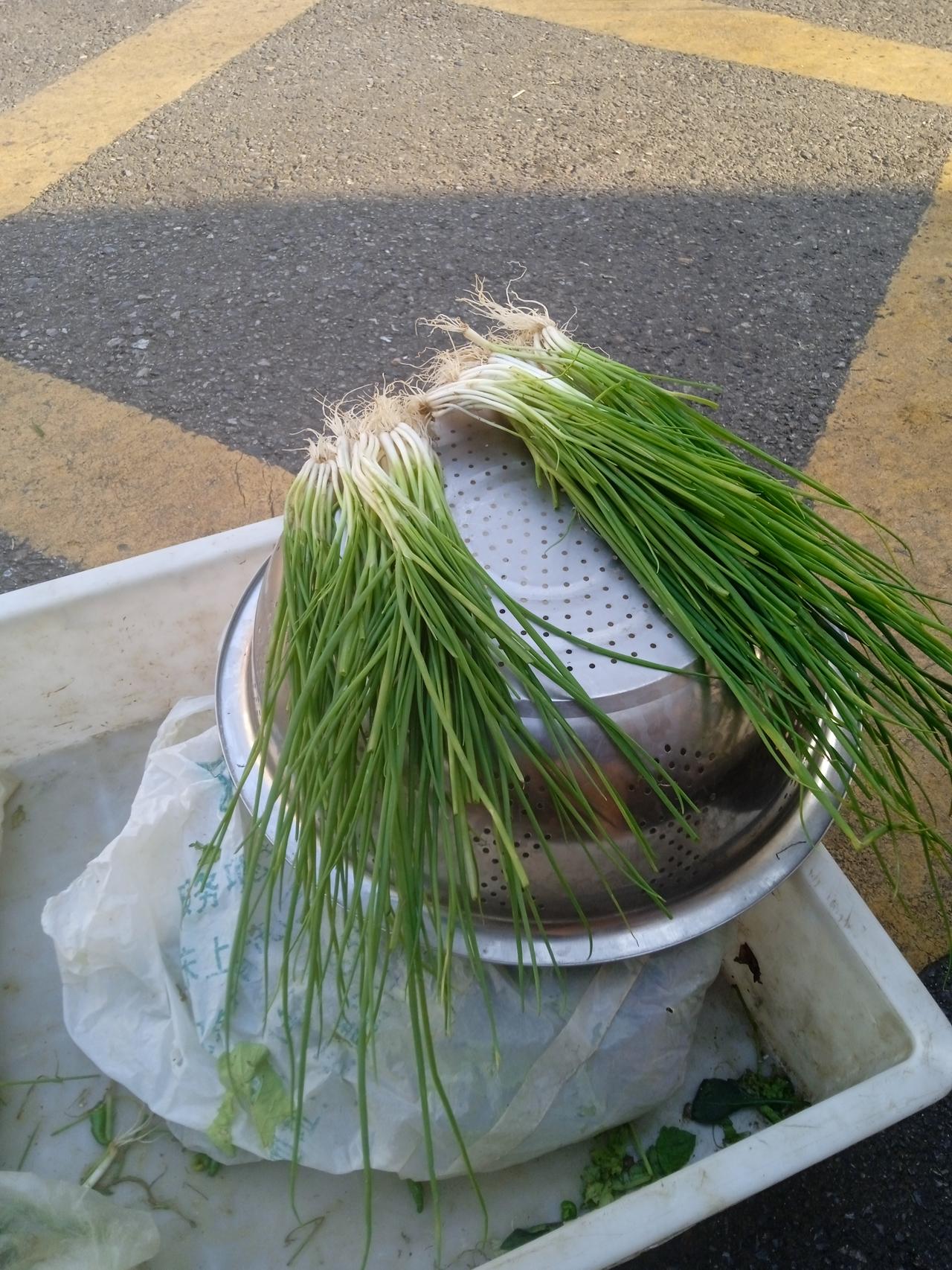 一个五六十岁的女人，每天批发几斤小香葱，摆成小堆卖，卖完赚个十几块钱，风雨无阻。