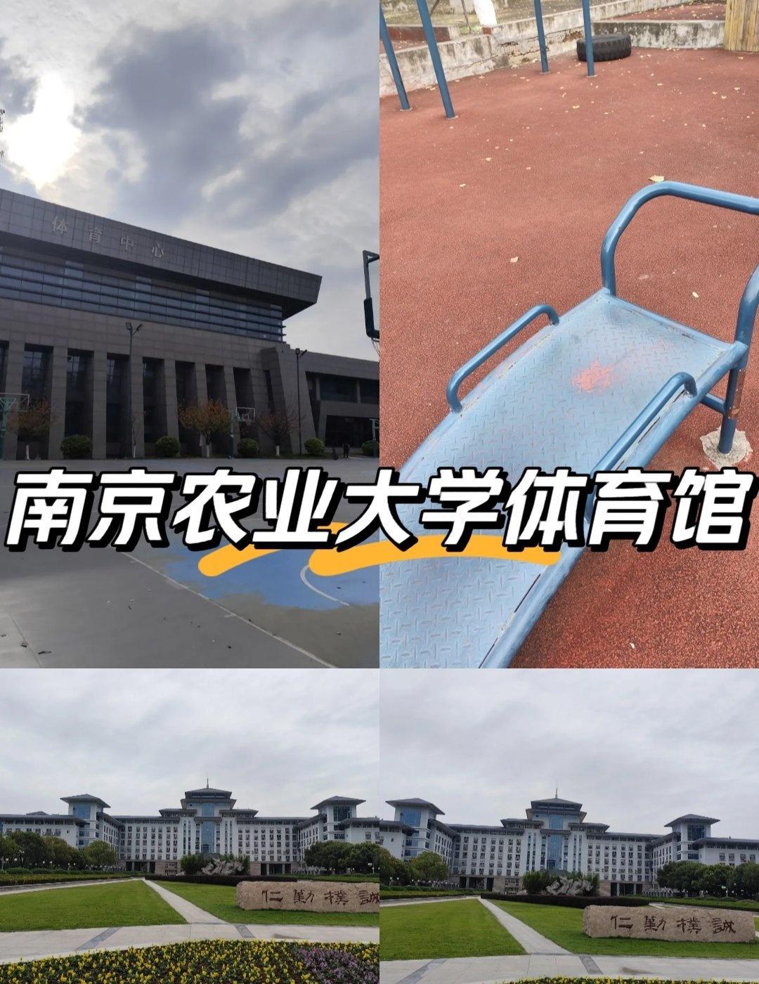 南京农业大学体育馆无疑是一座集现代化、实用性、美观性于一体的优秀体育建筑。在这里