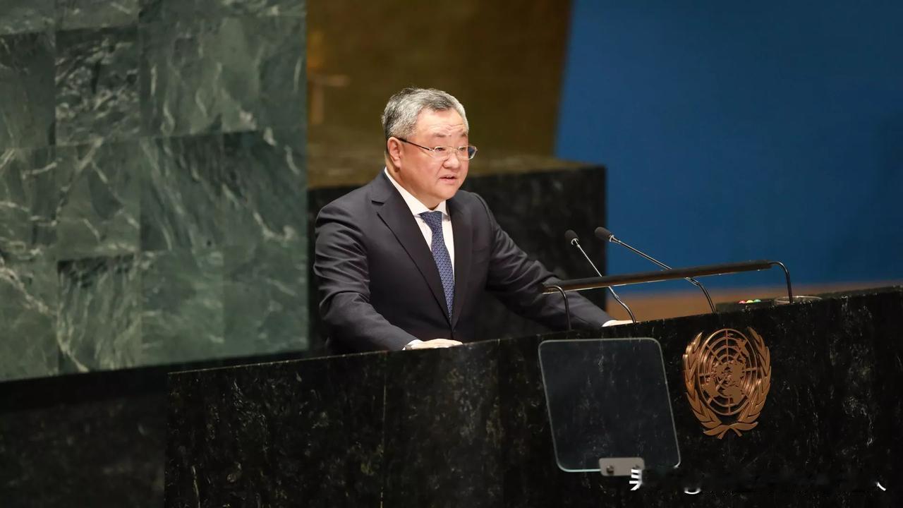 别人不敢说的话，中国说了！5月15日联合国安理会，中国大使傅聪当着全世界的面把话