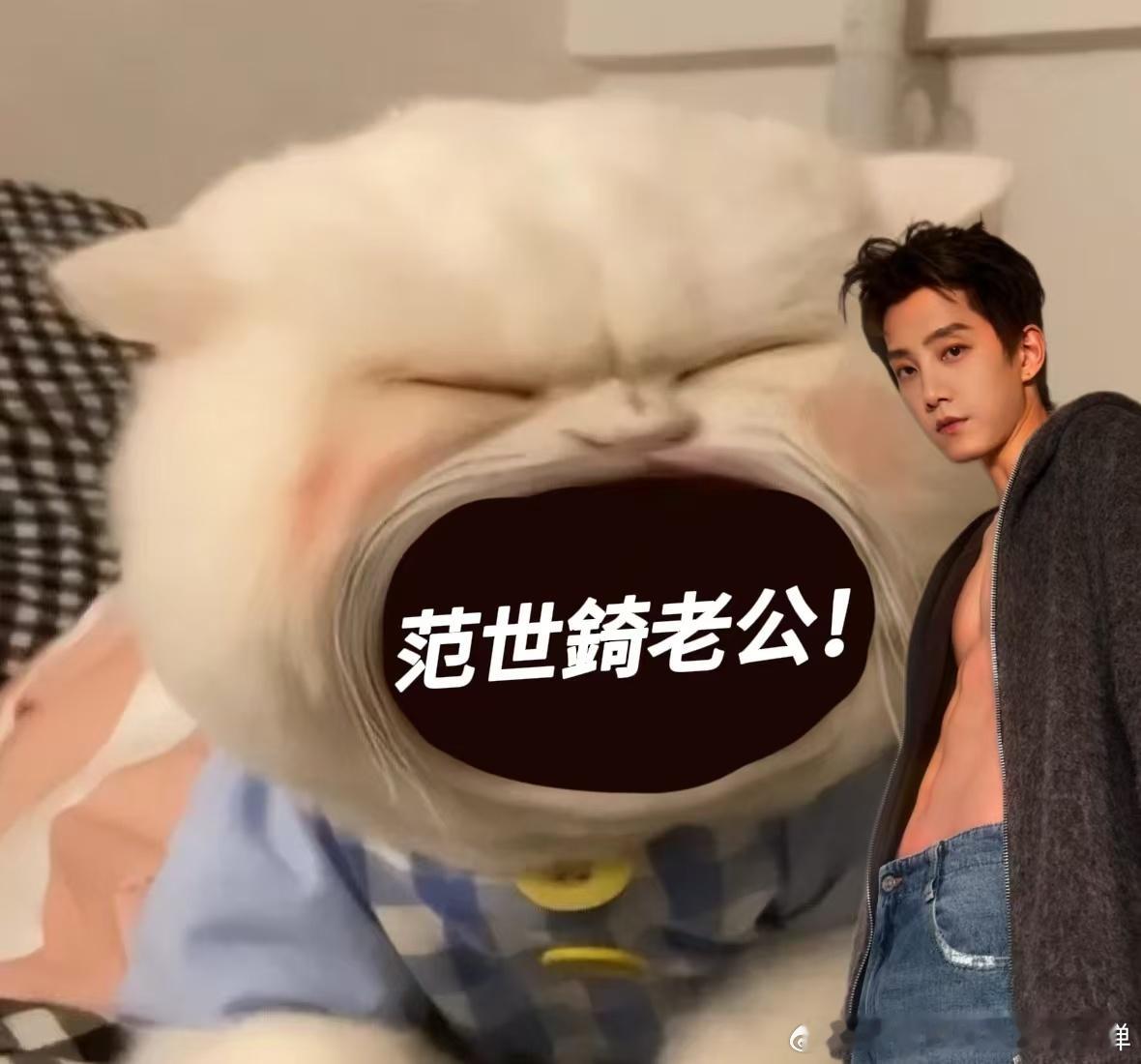 杨砚大奉第一顺位老公  范世錡饰演的《大奉打更人》杨砚，古装持枪的腰线与纤长手指