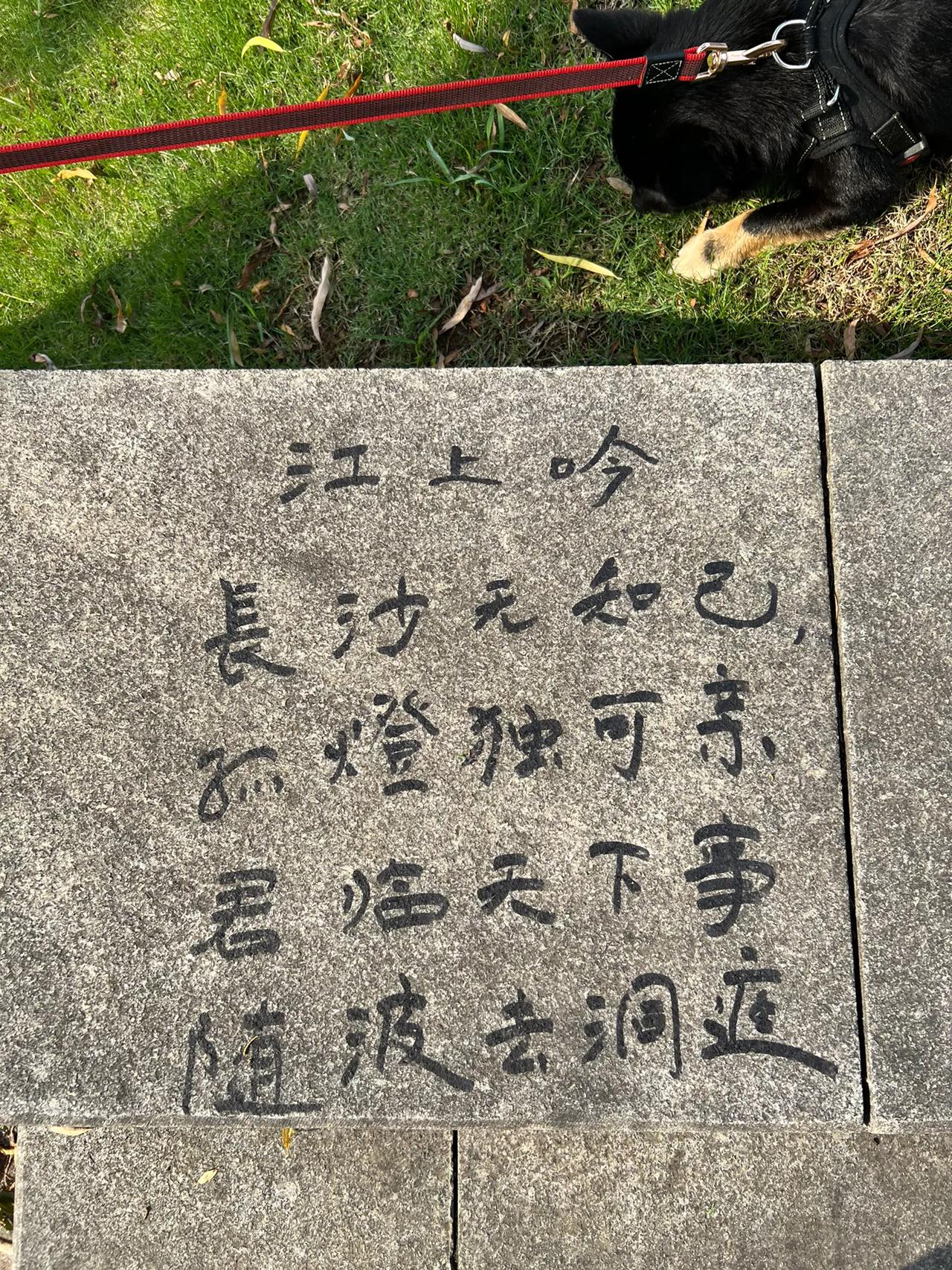 这是我每天上班经过的湘江边，今天路过，发现路牙上多了一首《江上吟》：“长沙无知己