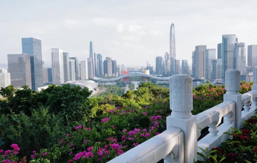 上海人来膜拜一下搞钱的深圳
深圳有一点我真是太喜欢了，就是小，平时出行去哪儿都是