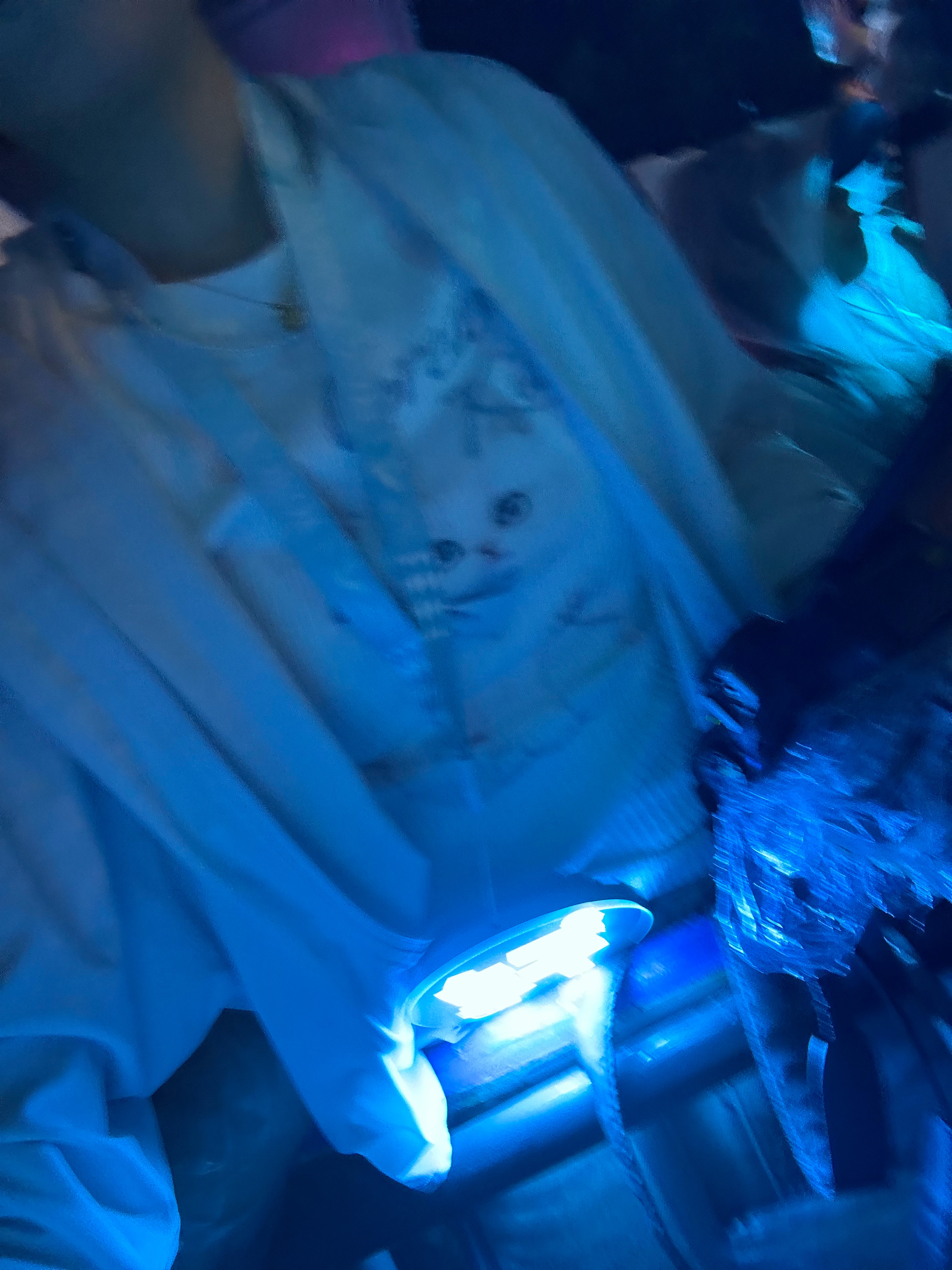 等轩轩 嘉兴·嘉善影视综艺小镇