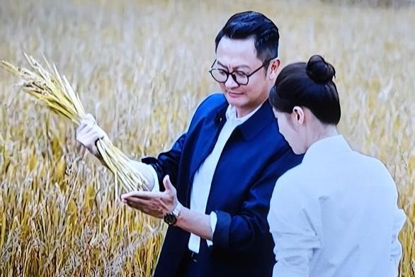 《种墨园》里，乡镇干部帮留守老人割稻谷这一幕太暖了。
在剧中，女主林依然回桃花镇