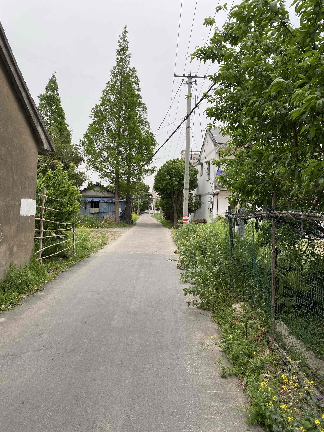 你敢不敢带孩子回娘家白吃白喝住一个月？

三个月前，小姑姑突然对奶奶说她离婚了，