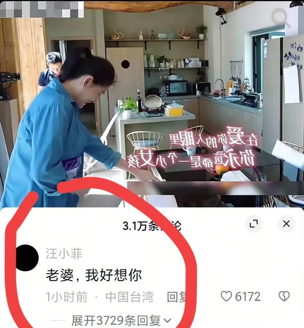 汪小菲这是心虚了吧！在大S和他生前一起上节目的片段下面留言“老婆 我好想你”没一