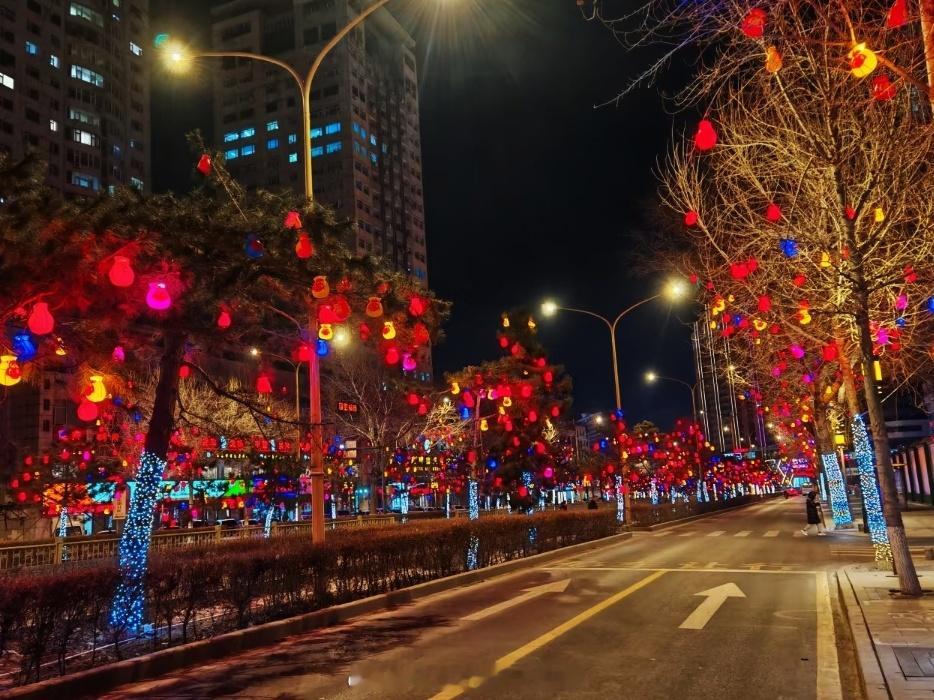 快过年了，长春的大街小巷都开始热闹起来。马路边，公园里、广场上，到处都挂满了花灯