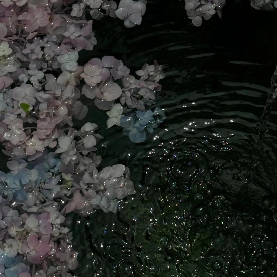 人生很多事，就像智齿。最佳的解决方式，是拔掉，而不是，忍受 