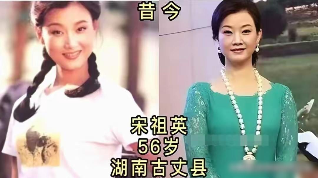 家喻户晓的国宝级歌唱名家各有特色，旋律陪伴无数岁月，深耕专业低调踏实，不靠流量博