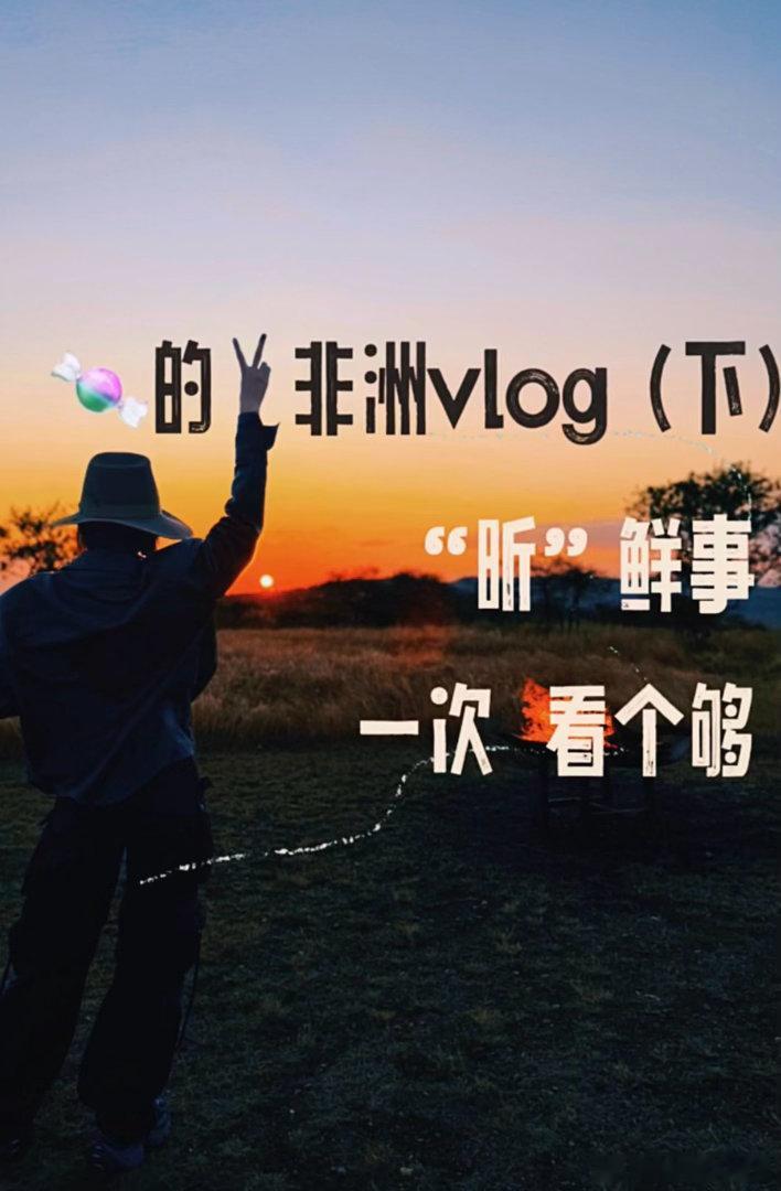 唐艺昕的非洲vlog好像一集动物世界看完唐艺昕非洲vlog，想去草原的心拦不住，