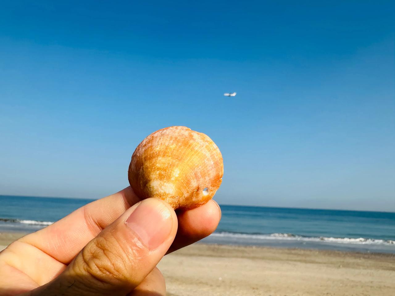 著名的阿曼湾
阿曼的海岸南方和东方临阿拉伯海，东北方则抵阿曼湾。它扼守着世界上最