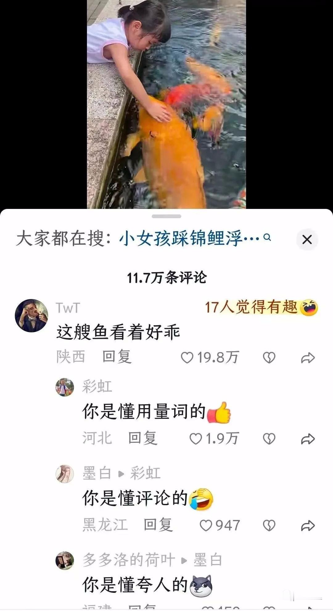 我就知道精彩的全在评论区 ​​​