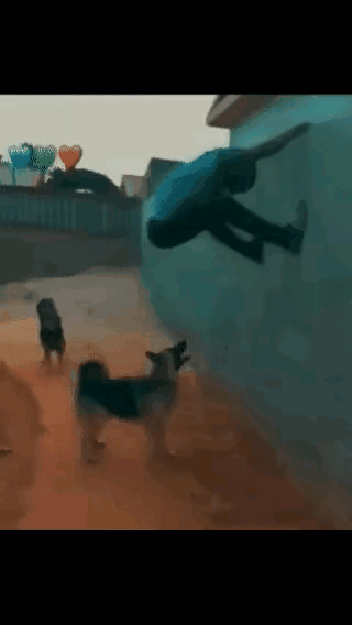 看来掏肛也是有点困难啊[捂脸]