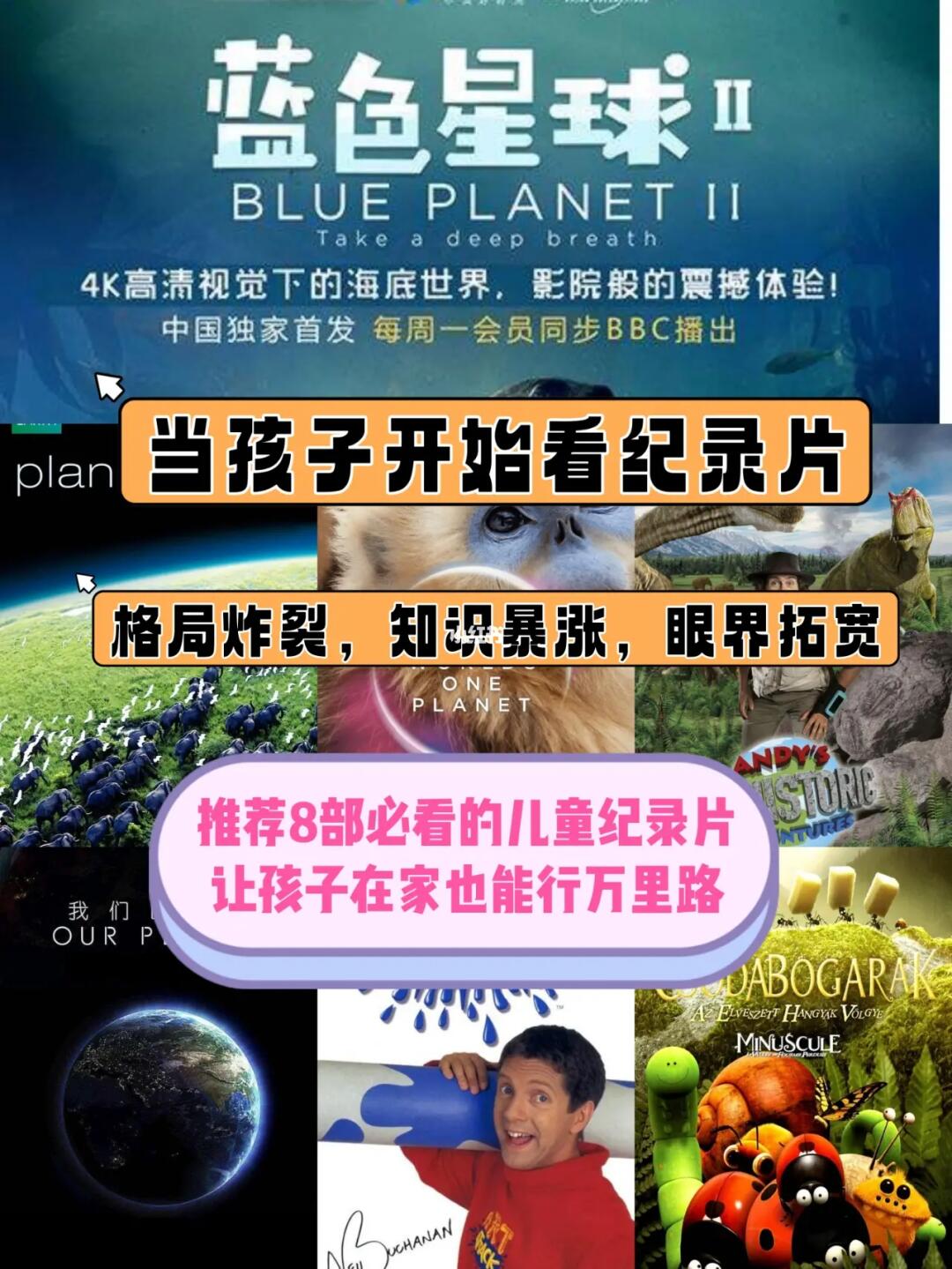 央视力荐/8部神级儿童纪录片 3岁+/格局炸裂
