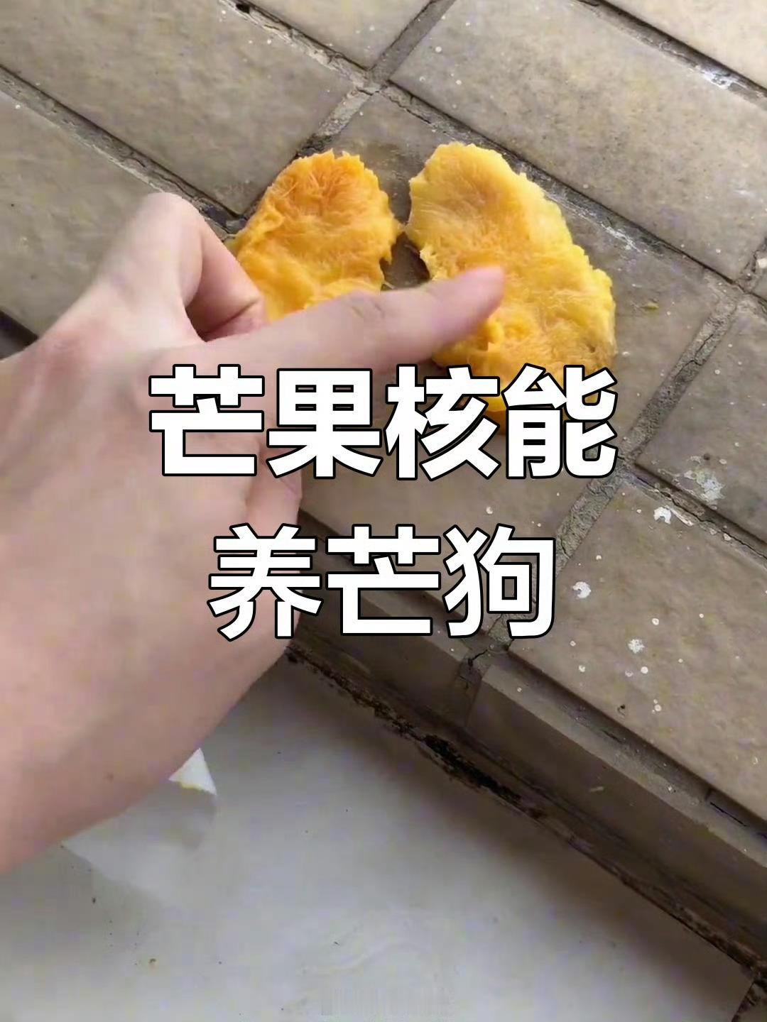 年轻人养的东西越来越离谱了不得不说年轻人解锁“新宠”超有趣！养苔藓造微观世界，云