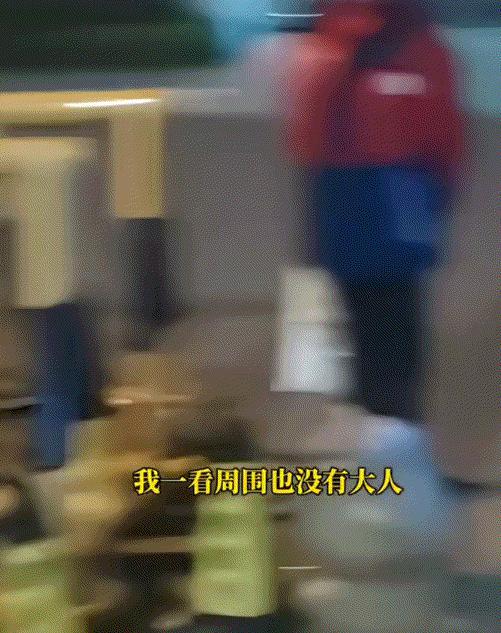 河南洛阳，一男子凌晨3点多出门遛狗时，结果发现一个小学生提着文具袋，独自站在校门