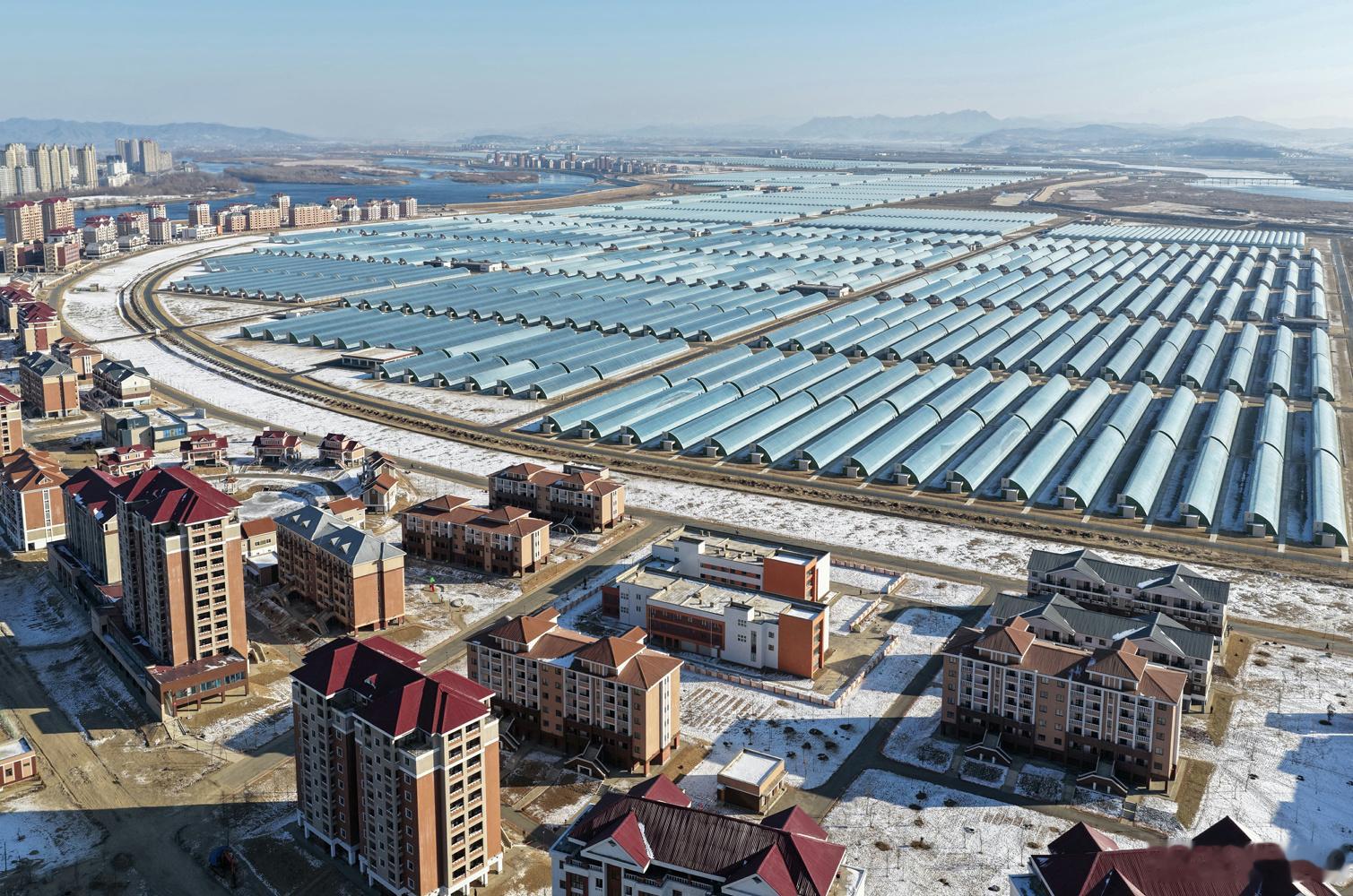 建设中的新义州威化岛温室综合农场（2026年1月2日） 