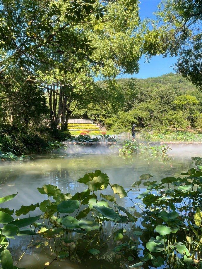 “ 一定要下雨天去趟西湖,感受烟雨江南的浪漫 ” ​​​