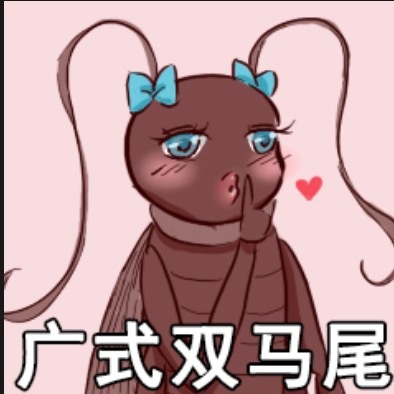 给你们分享一件很恐怖的事情！阳台上有只双马尾，跟我玩躲猫猫！广东双马尾