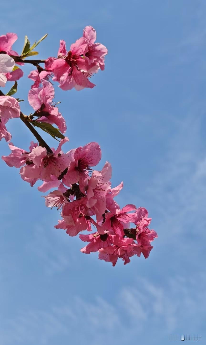 真正的孝
不是愚孝
也不是敷衍
父母老了
要的不是钱
而是陪伴
多打打电话
多陪