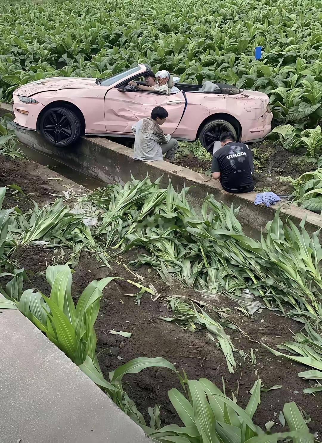 车是租的，这种情况，保险公司会赔吗？ 
