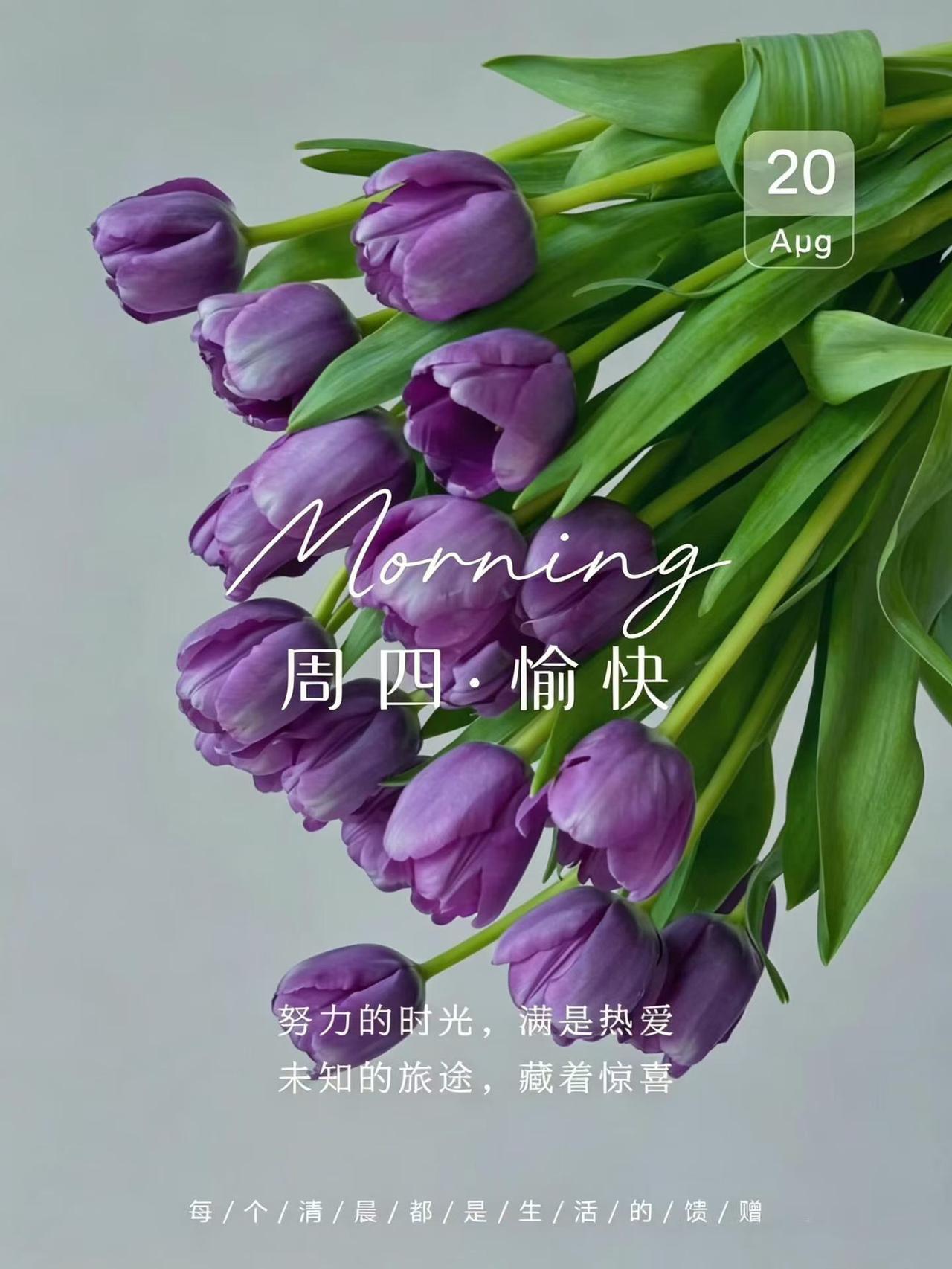 ☀️
美好的一天开始啦！

💐努力的时光，满是热爱
未知的旅途，藏着惊喜