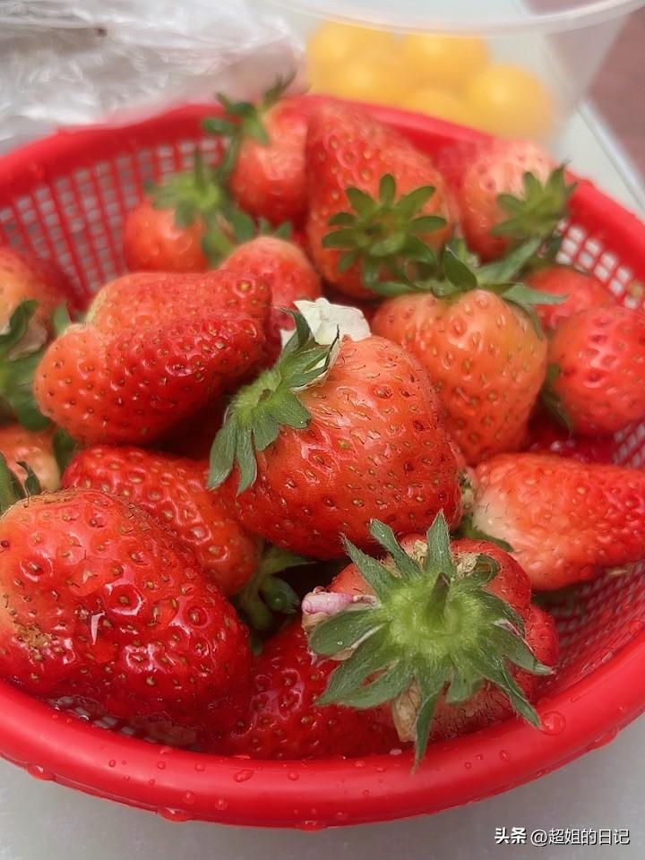 草莓突然便宜了，10块钱3斤，我分析价格便宜的原因是种植的农户多了，几种成熟，供