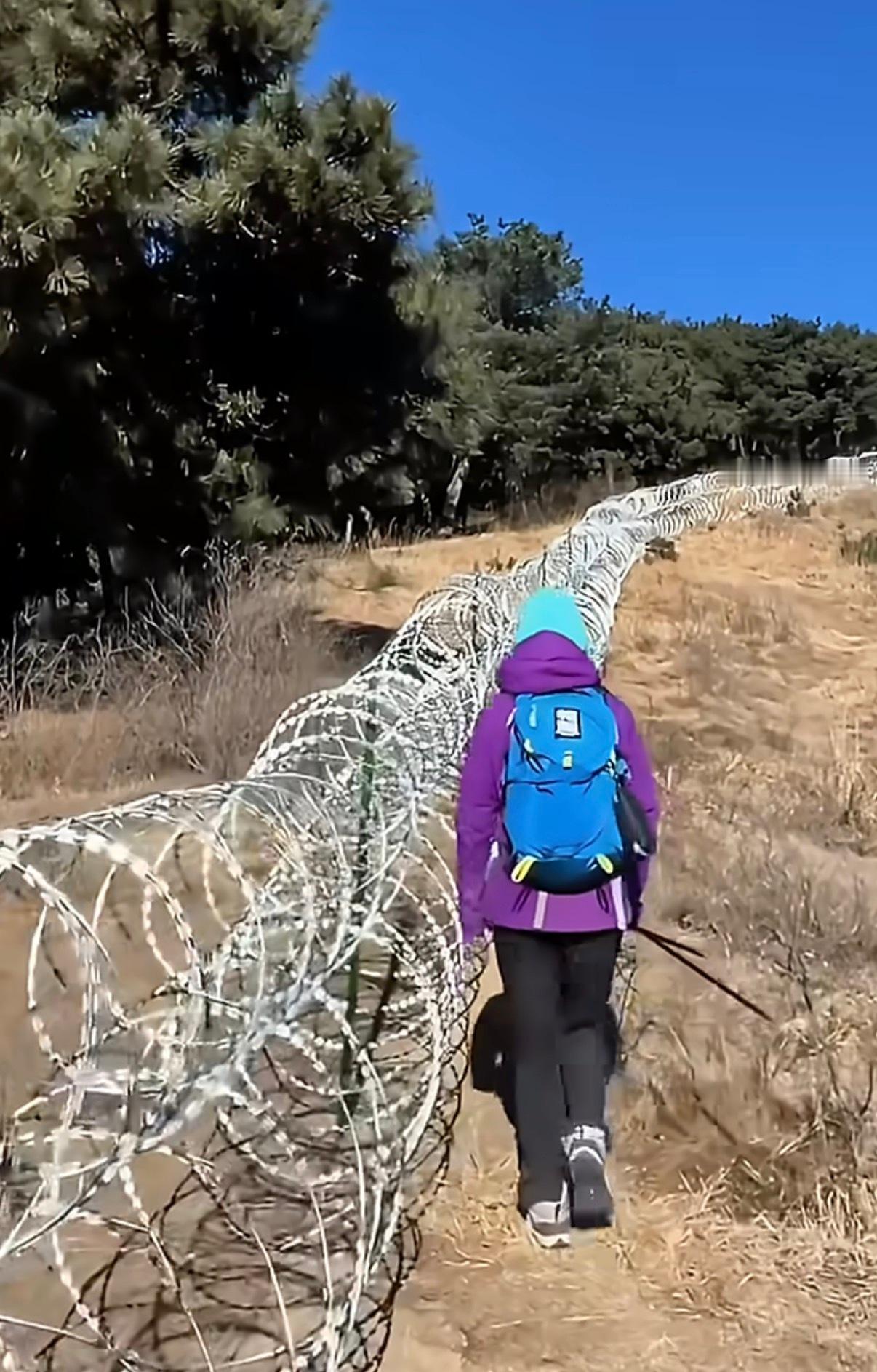 泰山疑被135公里刀片铁丝网围住景区防止套门票装这个就有点太过了，影像生态平衡，