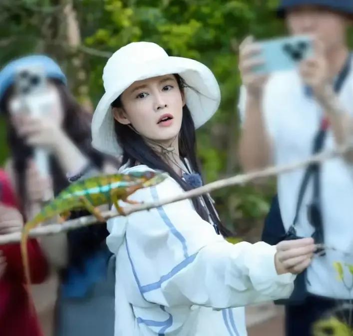 李沁第一次主动摇人帮自己的新剧宣传
肖战和王一博的反应
让网友们有话想对王一博讲