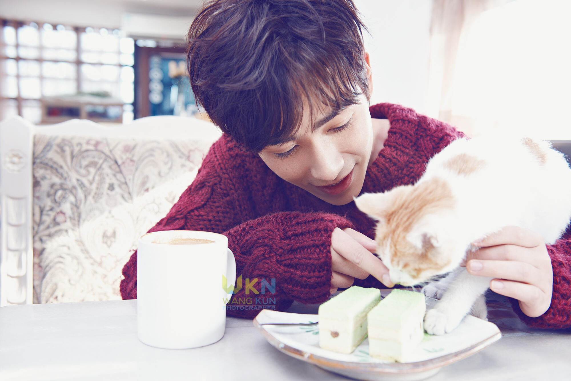 好喜欢这组和猫咪拍的，温柔小朱朱一龙