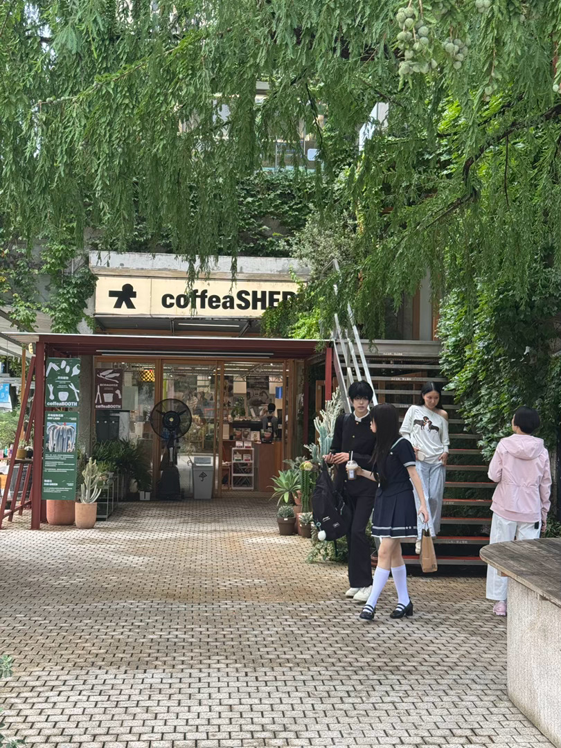 上海拜拜哦 
