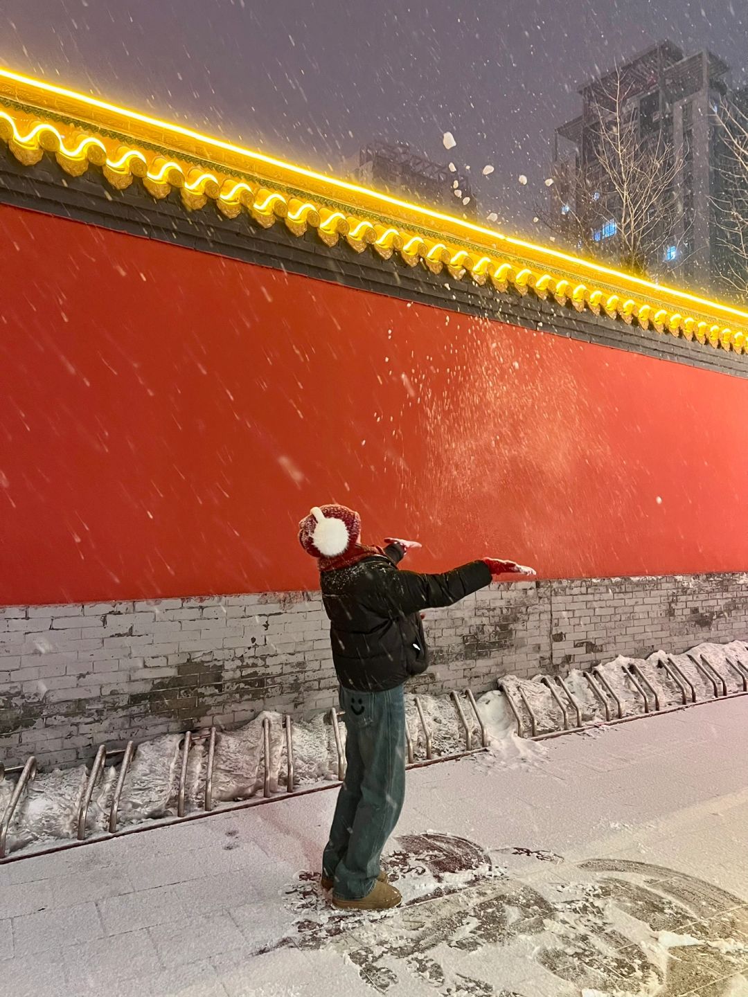 Live | 一场突如其来的沈阳雪🌨
