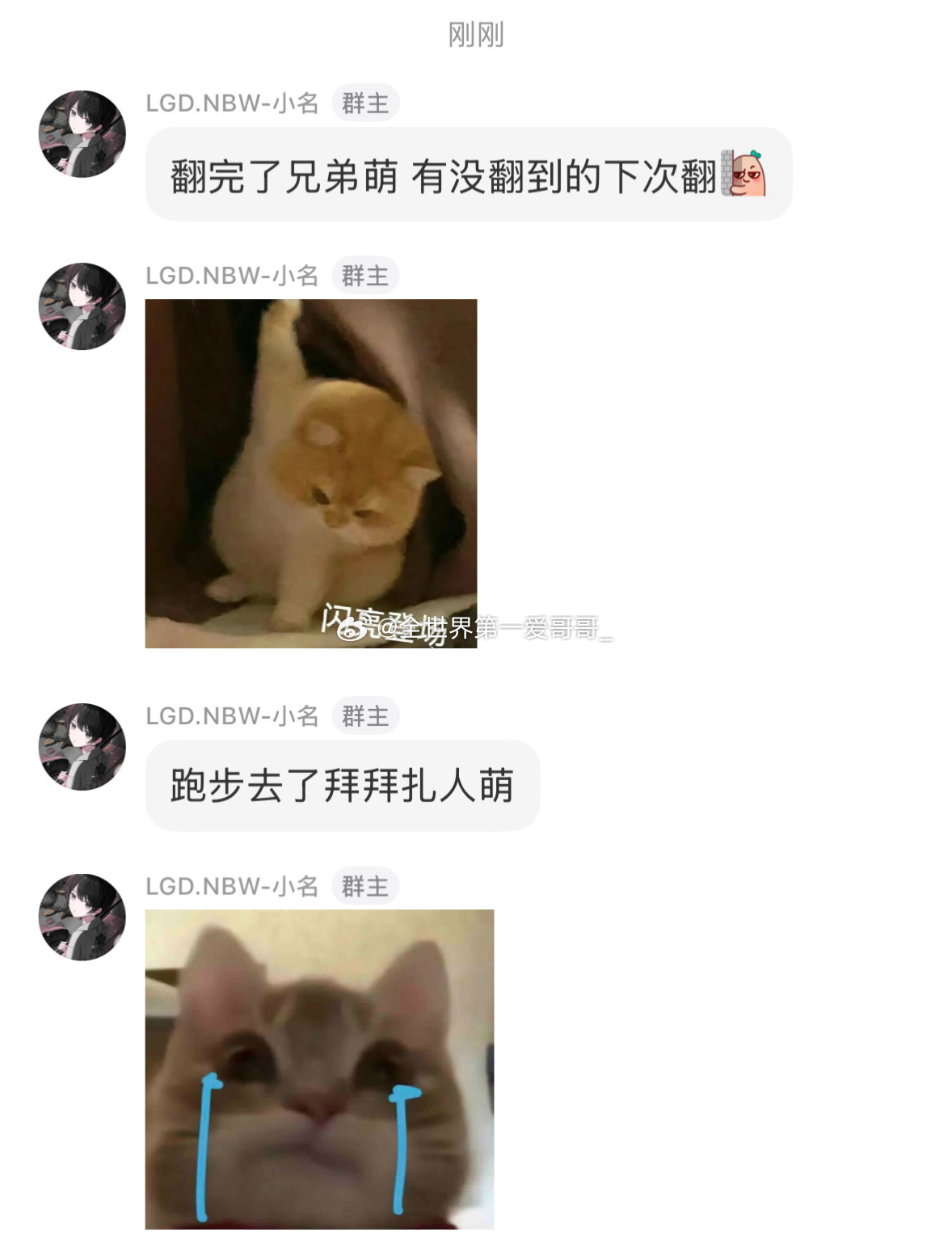 扎人萌他好可爱呀虽然我没有被翻到😾 