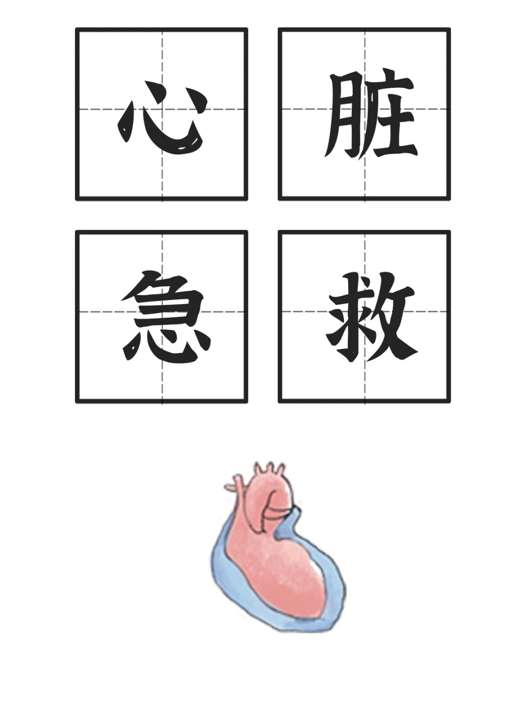 心脏急救五大穴位🫀