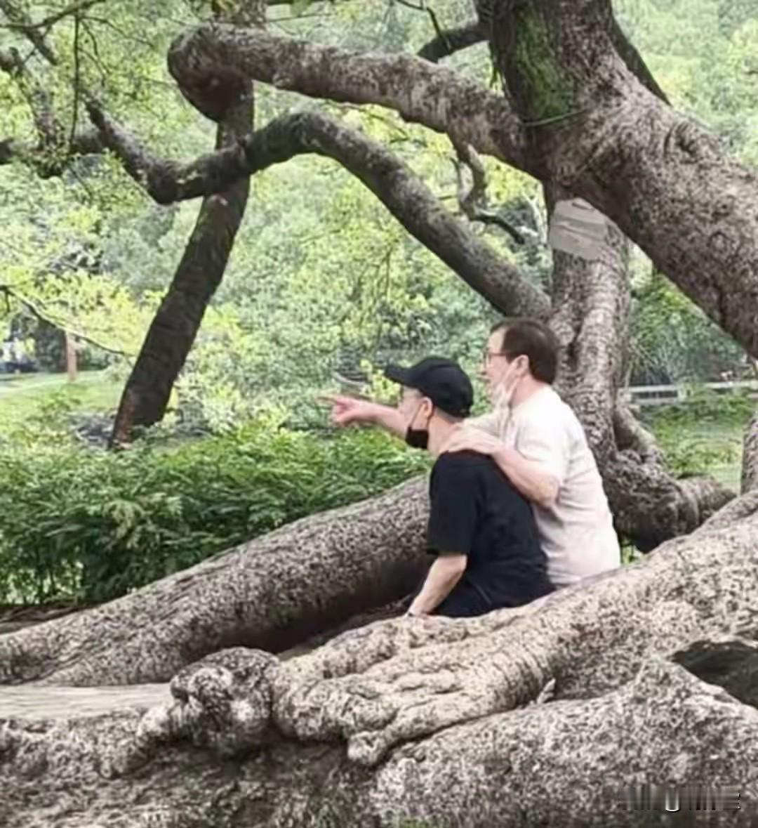 成龙说到底还是个男人
不管房祖名犯多大的错
到老了他第一个想到的还是儿子

本来